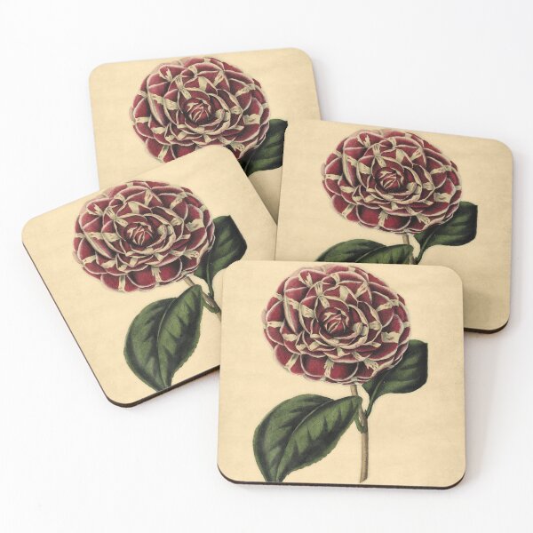 Item preview, Camellia Archduchess Augusta With Details designed and sold by ptMaker.