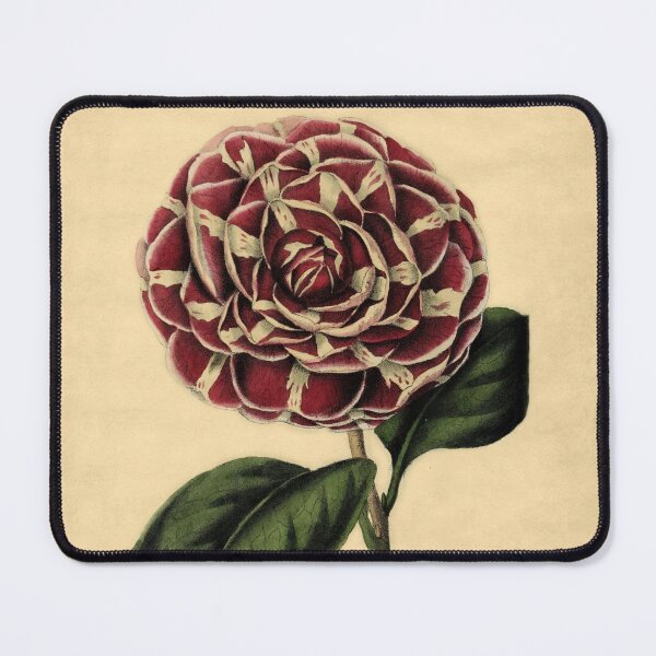 Item preview, Camellia Archduchess Augusta With Details designed and sold by ptMaker.