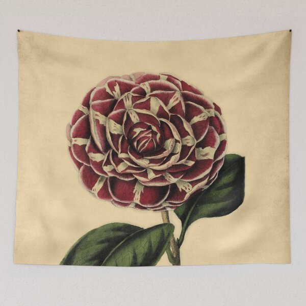 Item preview, Camellia Archduchess Augusta With Details designed and sold by ptMaker.