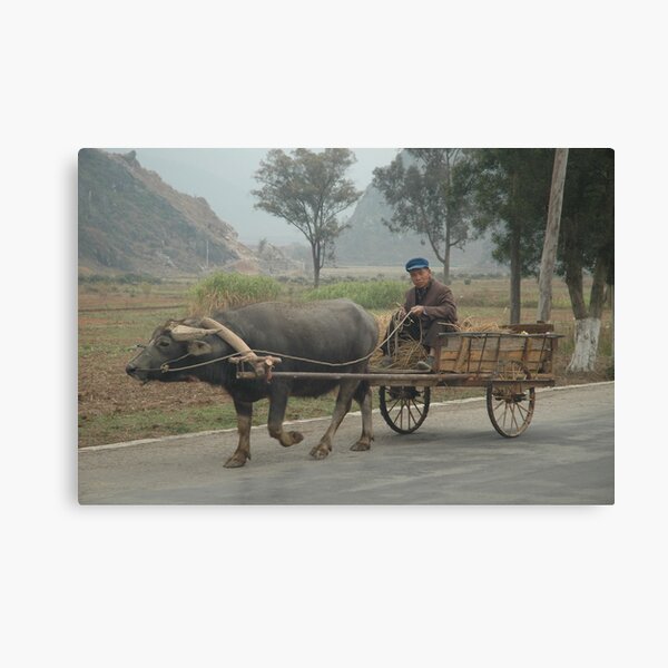 Rural China Canvas Print
