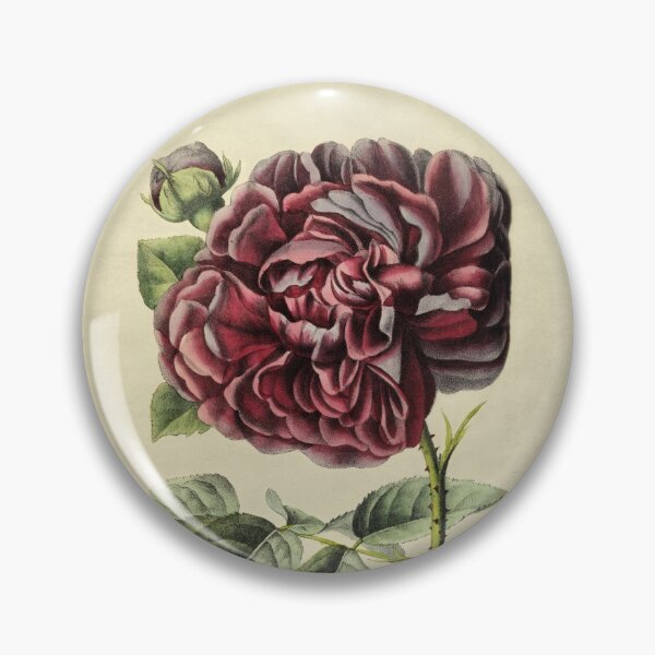 Item preview, Rose Genie de Chateaubriand With Details designed and sold by ptMaker.