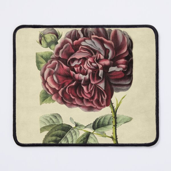 Item preview, Rose Genie de Chateaubriand With Details designed and sold by ptMaker.