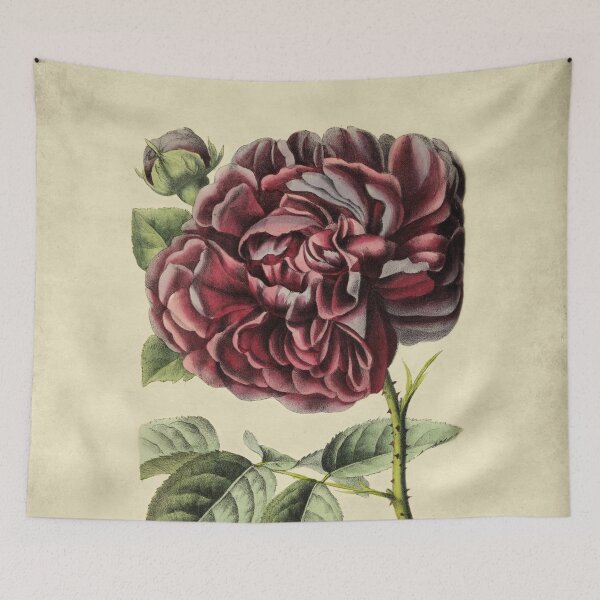 Item preview, Rose Genie de Chateaubriand With Details designed and sold by ptMaker.