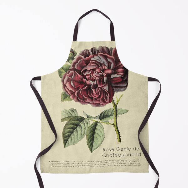 Item preview, Rose Genie de Chateaubriand With Details designed and sold by ptMaker.