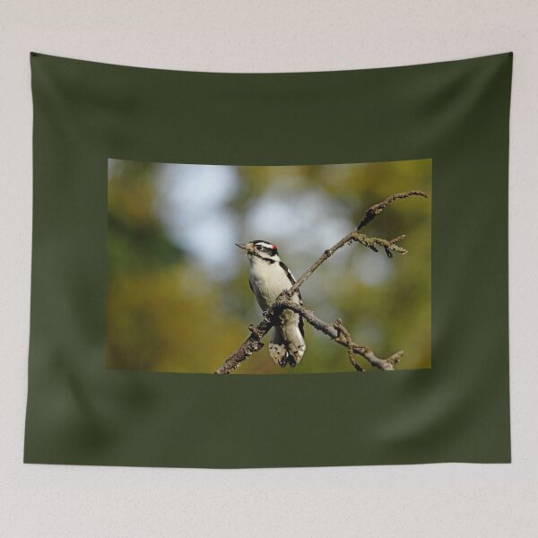 Item preview, Downy Woodpecker In Fall designed and sold by Debbie Oppermann.