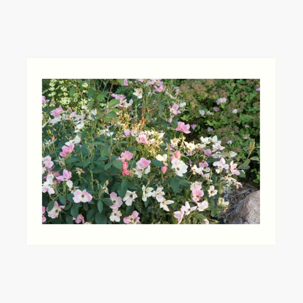 Flower Calendar 05 Art Print