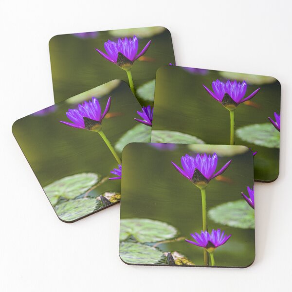 Item preview, Lotus flower, purple designed and sold by Steven Weeks.