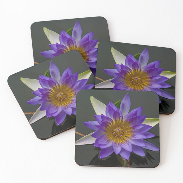 Item preview, Lotus flower, purple designed and sold by Steven Weeks.