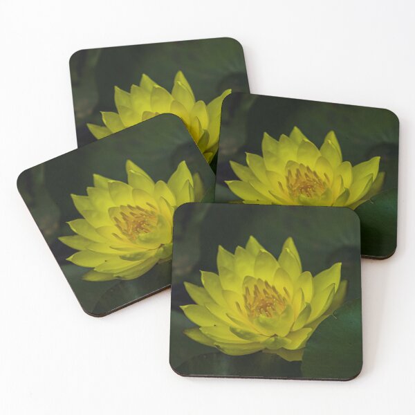 Item preview, Lotus flower, yellow designed and sold by Steven Weeks.