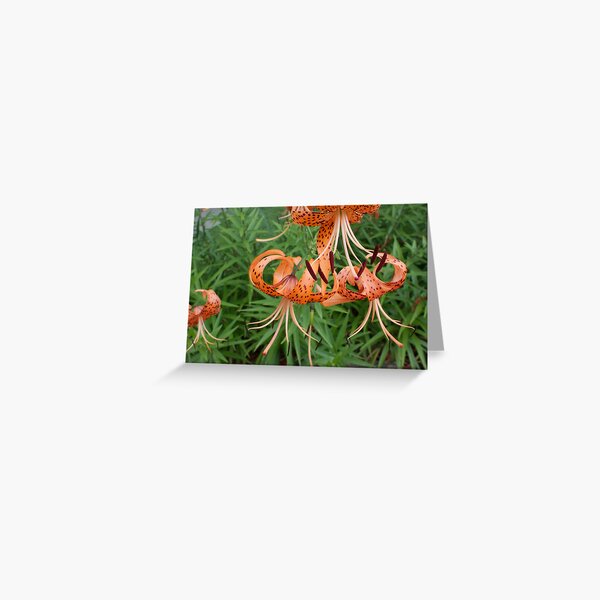 Flower Calendar 08 Greeting Card