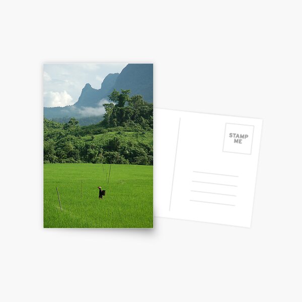In the mountains, Laos Postcard