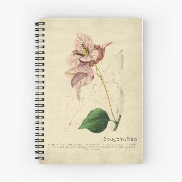 Item preview, Bougainvillea With Details designed and sold by ptMaker.