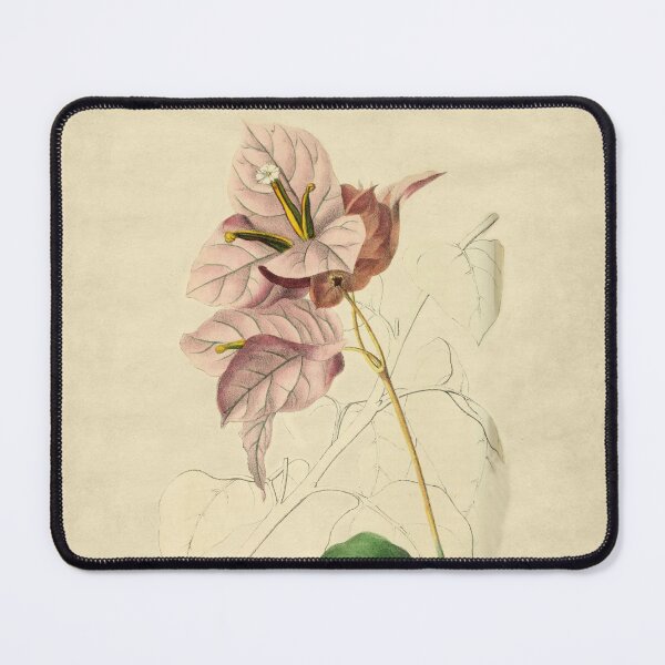 Item preview, Bougainvillea With Details designed and sold by ptMaker.