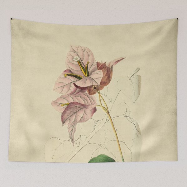 Item preview, Bougainvillea With Details designed and sold by ptMaker.
