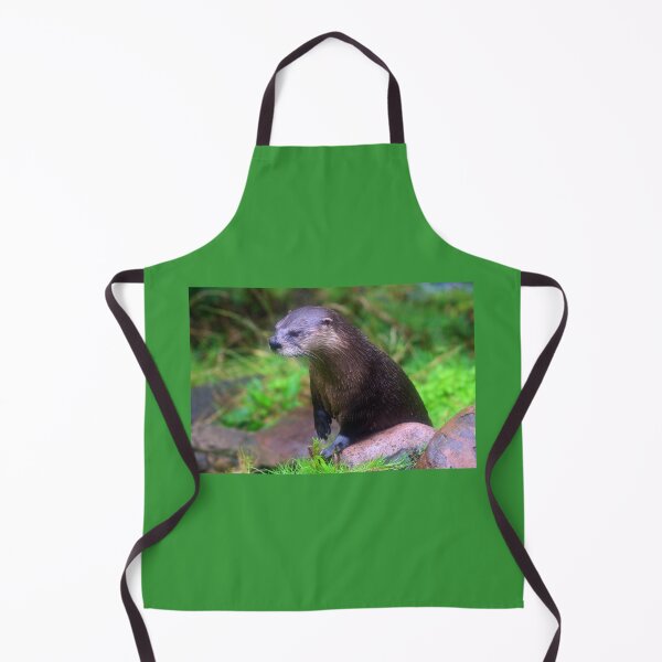 Item preview, Fingal designed and sold by RedHillDigital.