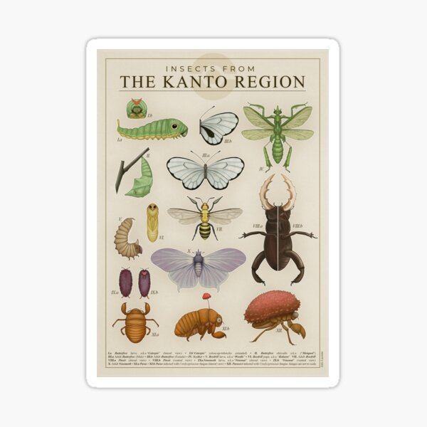 Insects from the Kanto Region Sticker