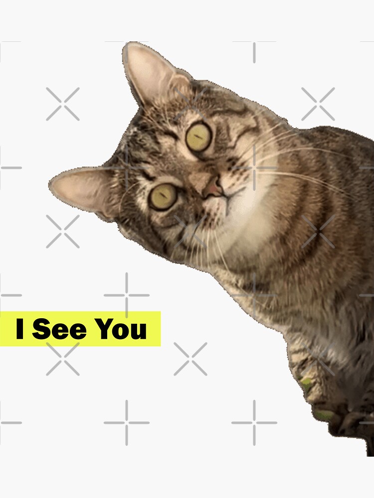 "I See You Cat Meme" Sticker for Sale by Uday24 | Redbubble