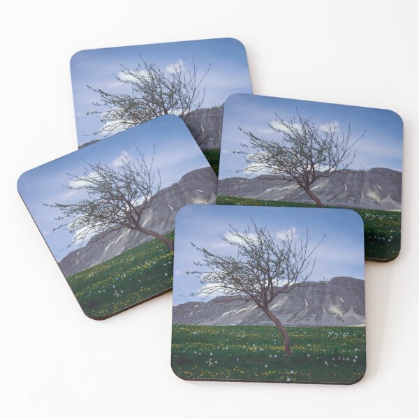 Item preview, Montenegro wild beauty designed and sold by F1lterDesign.