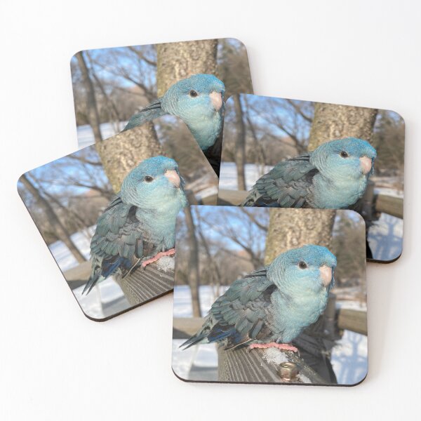 Item preview, a parrot in the snow designed and sold by ryjellhouse.