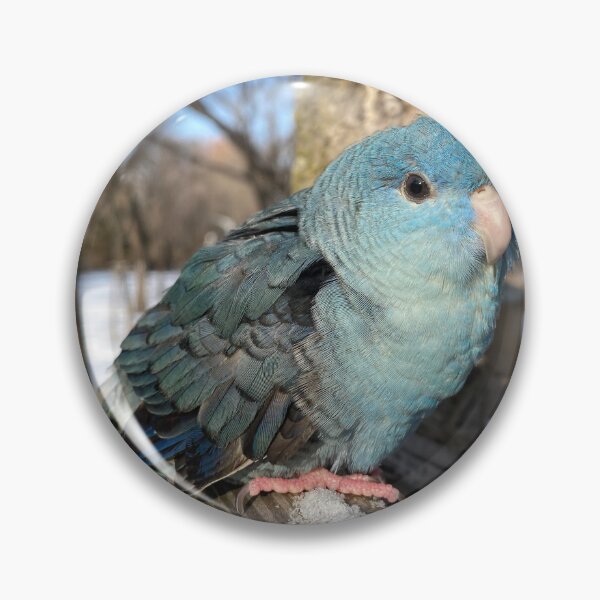 Item preview, a parrot in the snow designed and sold by ryjellhouse.