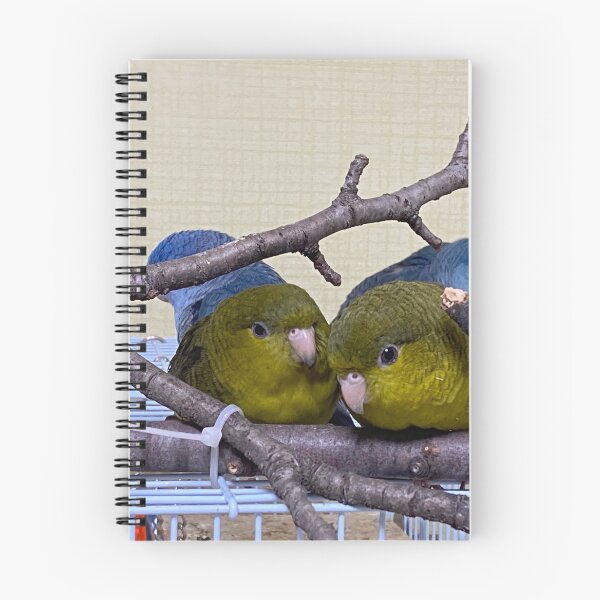 Item preview, Small Parrots designed and sold by ryjellhouse.
