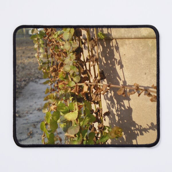 Item preview, Vines in Pot designed and sold by Rebekah McLeod.