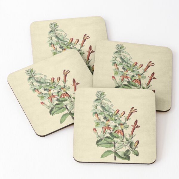 Item preview, Penstemon Cordifolius With Details designed and sold by ptMaker.