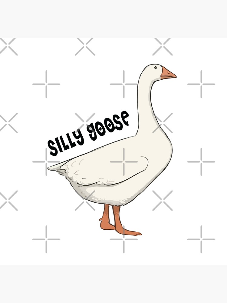 silly-goose-on-board-bumper-is-silly-goose-offensive-the-silly