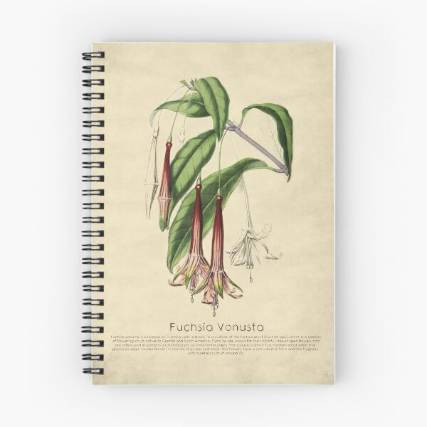 Item preview, Fuchsia Vonusta With Details designed and sold by ptMaker.