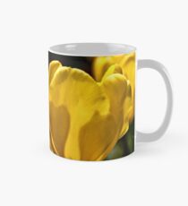Yellow Tulips of Keukenhof Mug