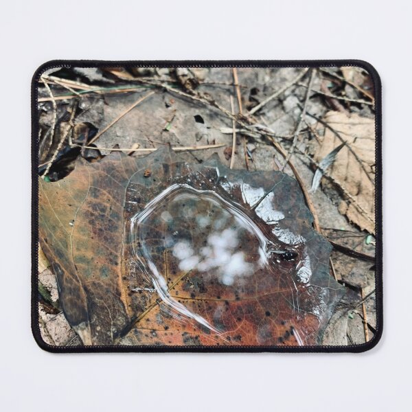 Item preview, Leafy Business designed and sold by Kelly O'Neill.