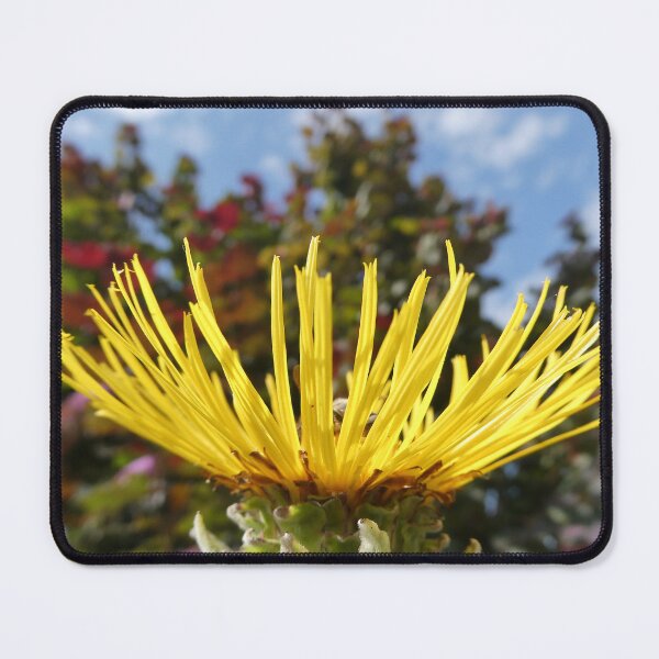 Item preview, Yellow French flower designed and sold by JonDelorme.