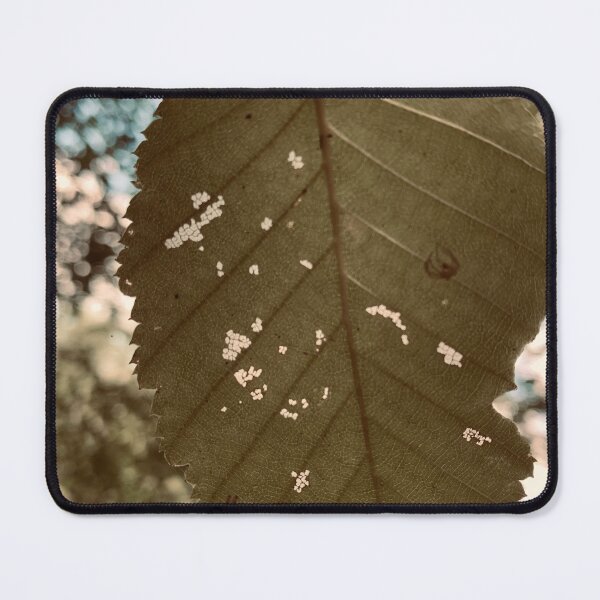 Item preview, Feeling Leafy designed and sold by Kelly O'Neill.