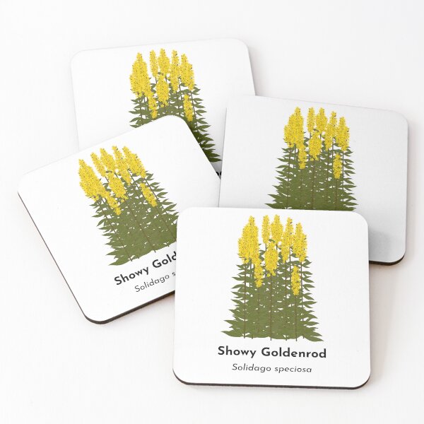Item preview, Showy Goldenrod (Solidago speciosa) designed and sold by Bittersweet Gardener.