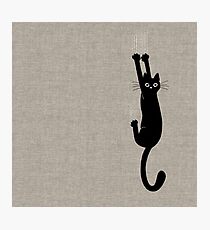 Lámina fotográfica Gato negro sosteniendo
