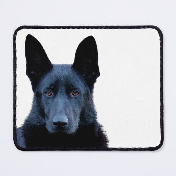 Item preview, Black German Shepherd  designed and sold by GermanShepMan.