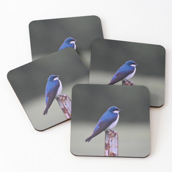 Item preview, Blue Swallow  designed and sold by MullenixPhoto.