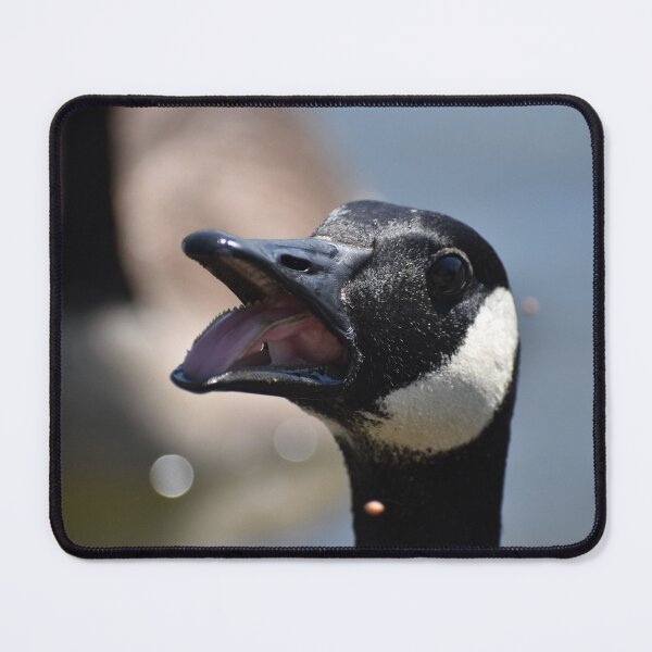 Item preview, Goose designed and sold by MullenixPhoto.