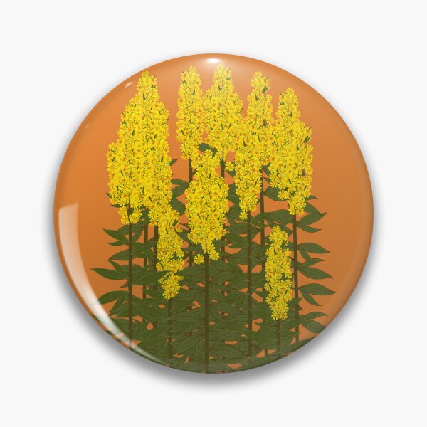 Item preview, Showy Goldenrod (Solidago speciosa) designed and sold by Bittersweet Gardener.