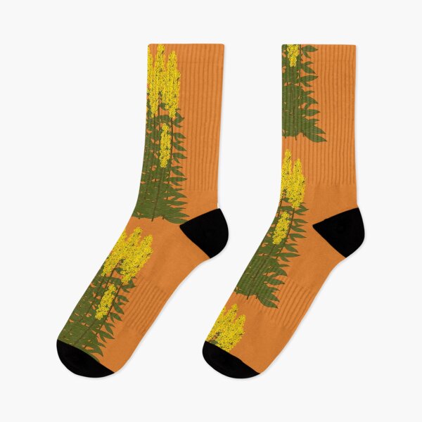 Item preview, Showy Goldenrod (Solidago speciosa) designed and sold by Bittersweet Gardener.