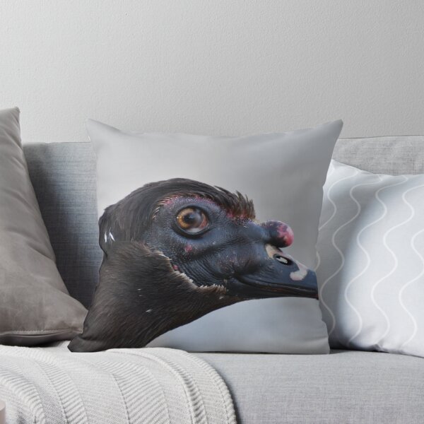 Item preview, Pato real macho designed and sold by MullenixPhoto.