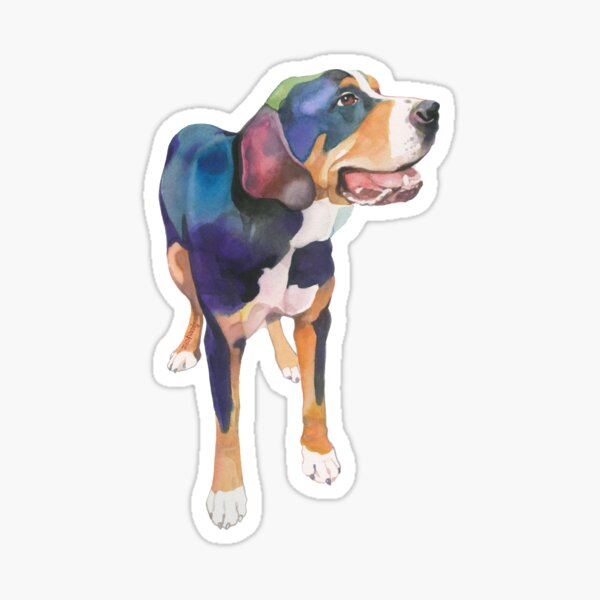 Quentin Sticker