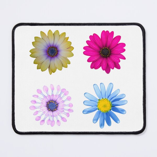 Item preview, Daisy Four Pack designed and sold by maeflowerr2.