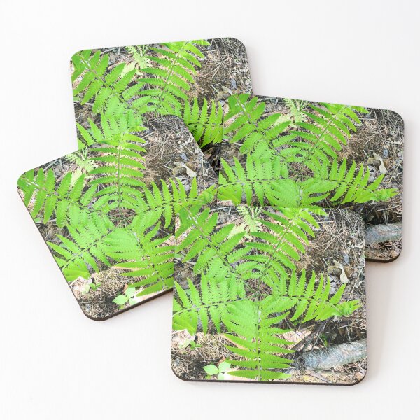 Item preview, Fern designed and sold by Kelly O'Neill.