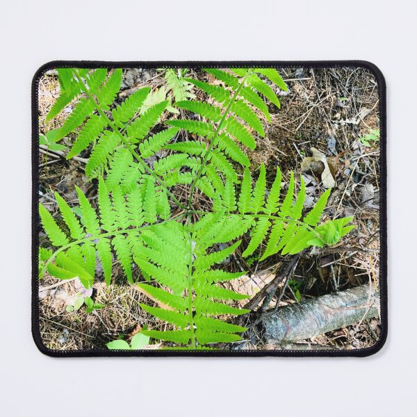 Item preview, Fern designed and sold by Kelly O'Neill.