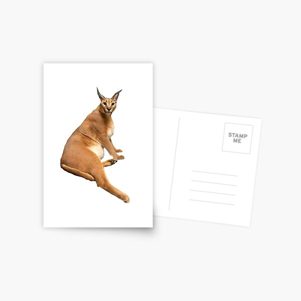 Big Floppa - Caracal meme cat / fat floppa / cursed floppa Postcard for  Sale by romanticists