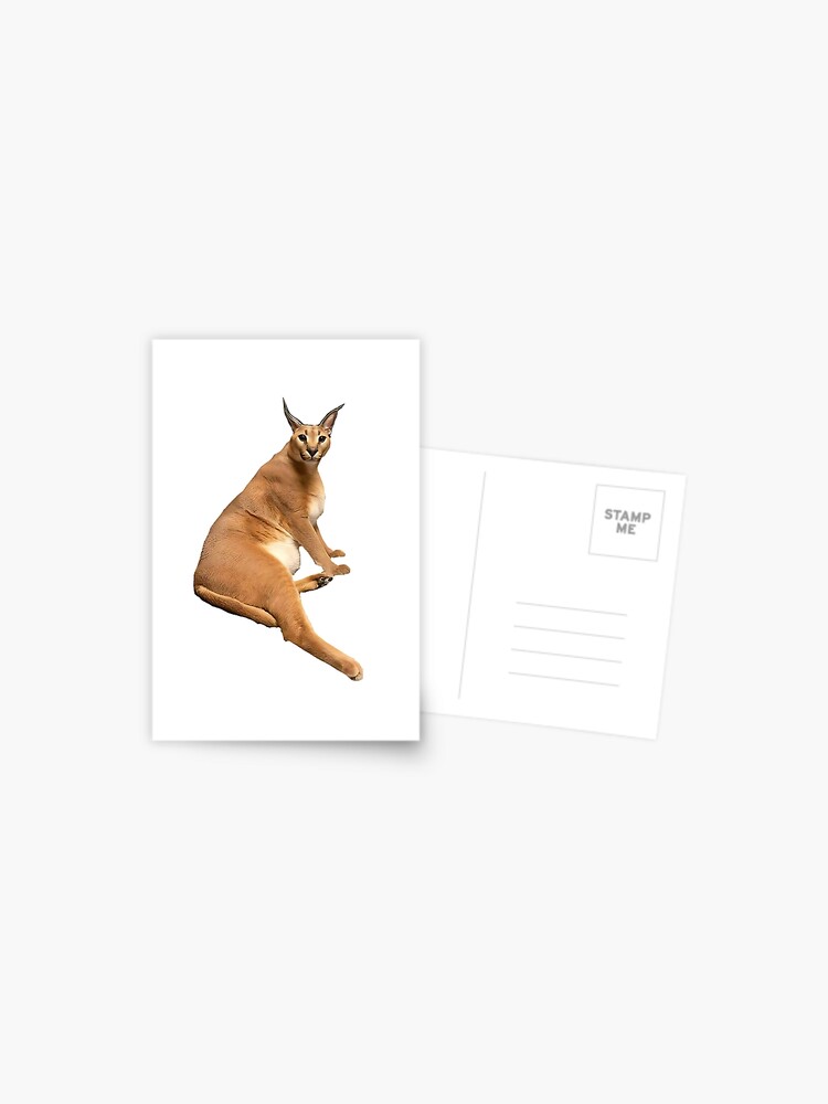 Big Floppa - Caracal meme cat / fat floppa / cursed floppa Postcard for  Sale by romanticists