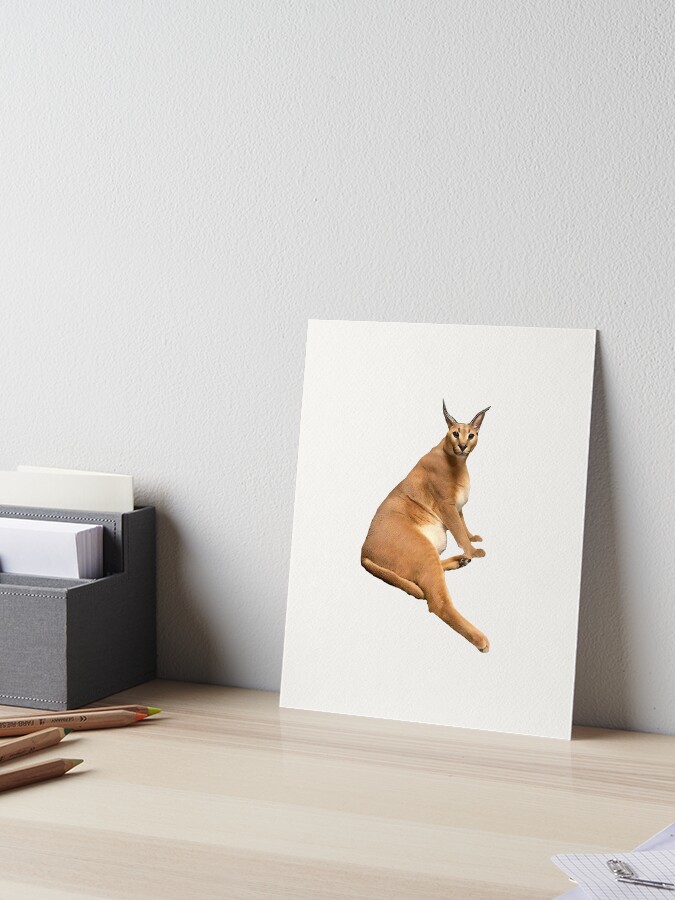 Big Floppa - Caracal meme cat / fat floppa / cursed floppa Postcard for  Sale by romanticists