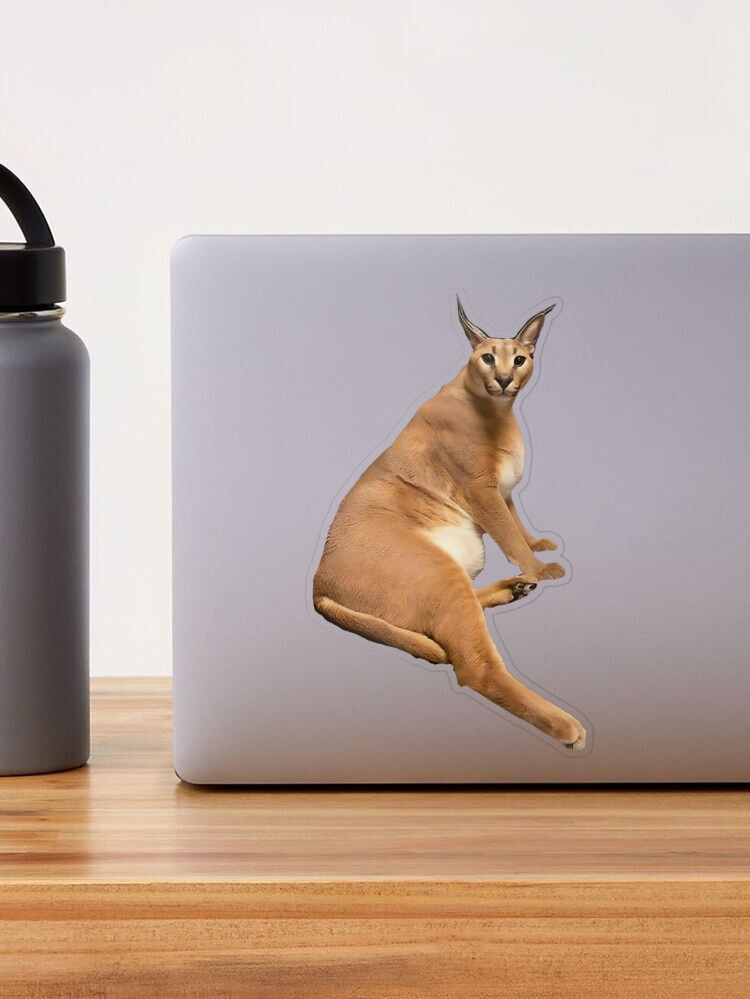 Big Floppa - Caracal meme cat / fat floppa / cursed floppa Postcard for  Sale by romanticists