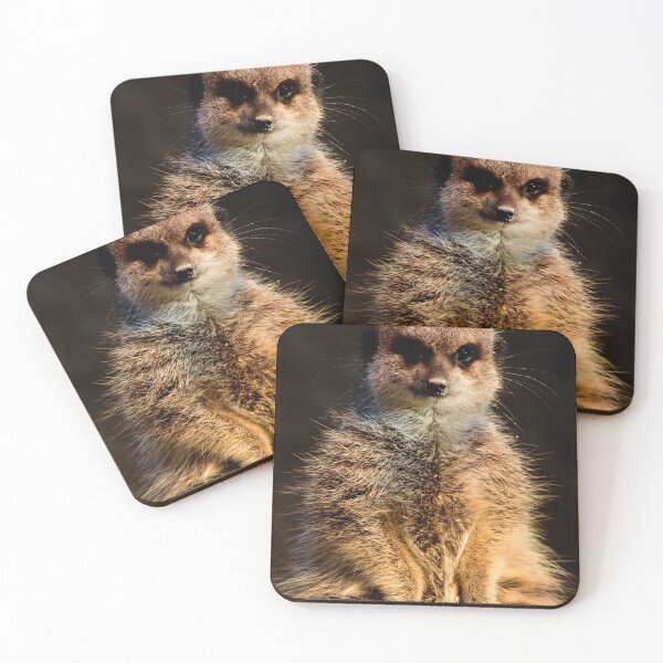 Item preview, The wise meerkat designed and sold by Animal-Photos.